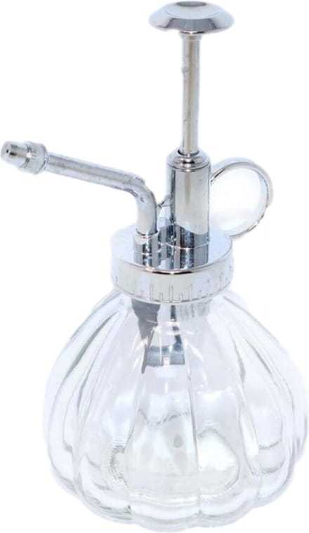 Concorde Plantensproeier - zilver - pompoen motief - 16 cm - 510 ml - glas - onkruid