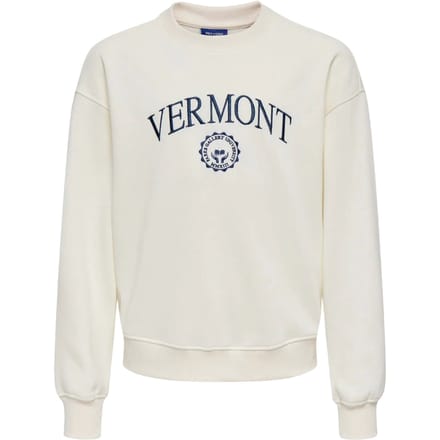 ONLY & SONS JUNIOR - OSJCOLE COLLEGE RLX LS CREW NECK Jongens Trui