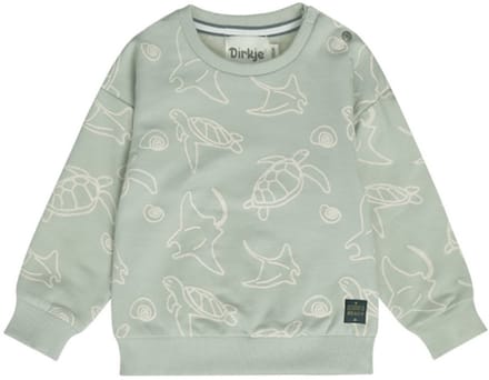 Dirkje - Trui - Sweater - Zeedieren - Soft Sage - Maat 56