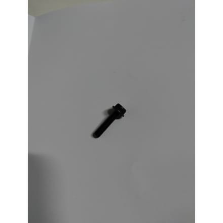 Bolt