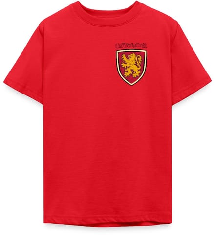 Harry Potter Gryffindor Quidditch Potter T-Shirt Tiener