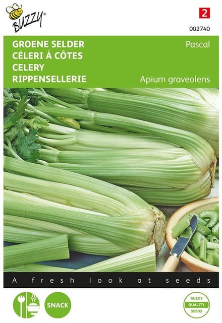 Buzzy Selder Pascal, Groene Volpijp