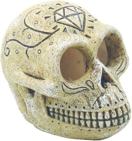 Superfish Skull Monkey Opruiming