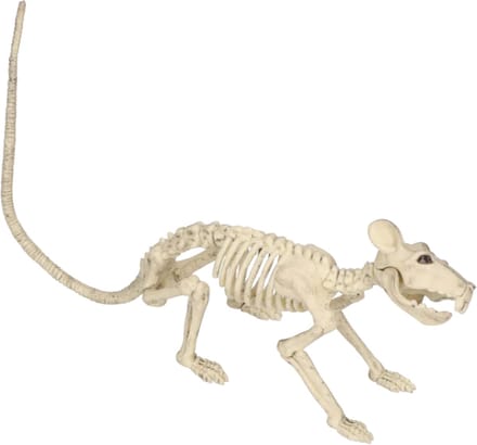 Skelet rat feestversiering Halloween