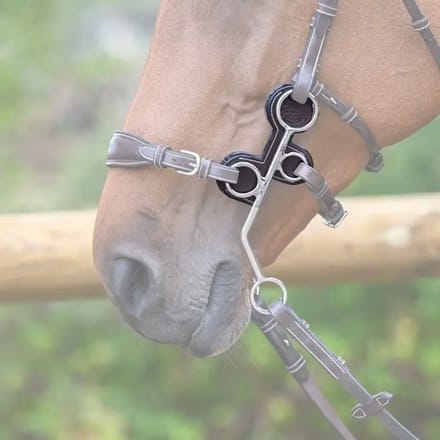 Hackamore Takken van Leer Jump'In