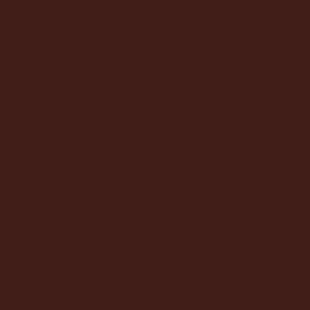 Metaalbeschermende Lak voor Buiten - Chocoladebruin RAL8017, 250 ml