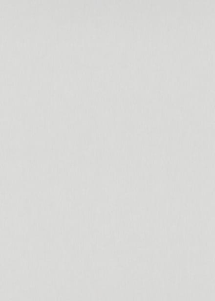 Erismann Vinylbehang 10281-10 - Versailles - Grijs - 53cm x 10.05m