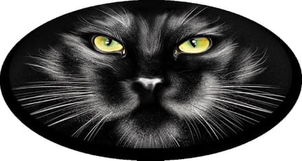 Bertoni - Tuinstoelkussens - Tuinstoel Kussen - decoratief kat - 35 cm -