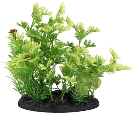 SuperFish Deco Plant S NR. 3