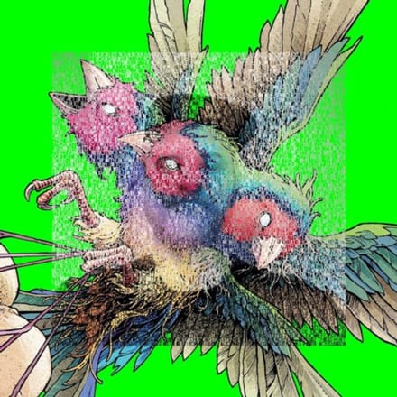 Gouldian Finch - Hatch (CD)