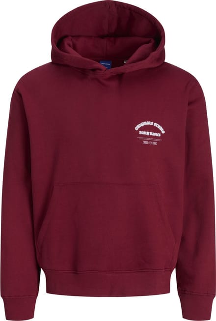 JACK&JONES - JORMEADOWS SWEAT HOOD JNR - Jongens - Sweaters