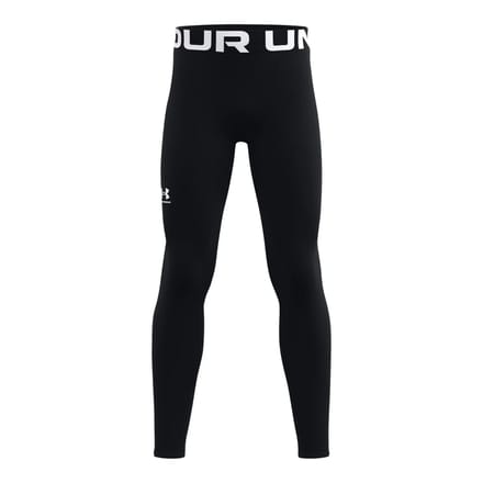 Leggings voor kinderen Under Armour ColdGear