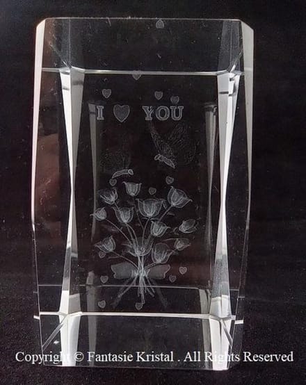 3D Laserblok Visser