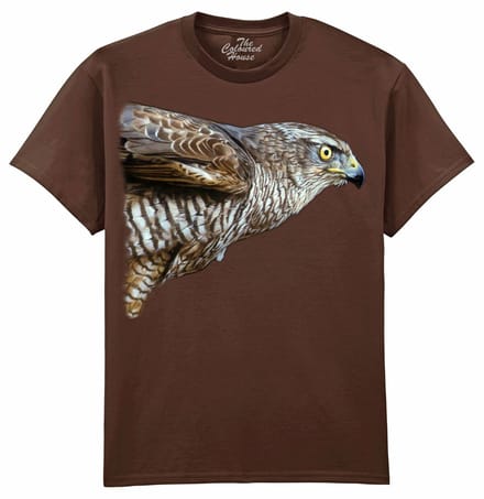 Havik Watchful - Hawk The Coloured House T-shirt M