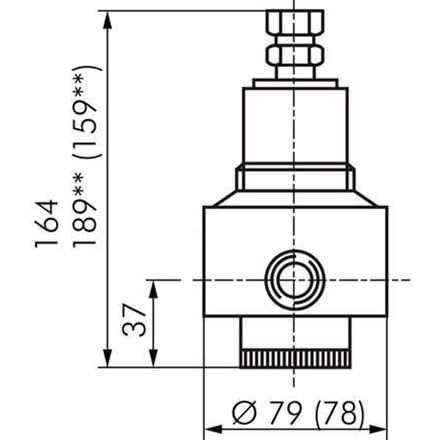 Vervangingsmembraan PTFE/NBR 1/2''.