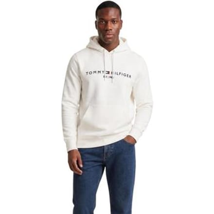 Capuchon sweaters Tommy Hilfiger TOMMY LOGO MW0MW11599