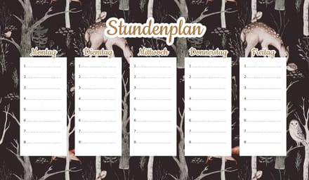 Wallvy - Magnetisch Lesplan - 30x17,5cm - Personaliseerbaar - Droog uitwisbare Marker