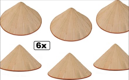 6x Chinese strohoed - landen china chinees hoofd deksel