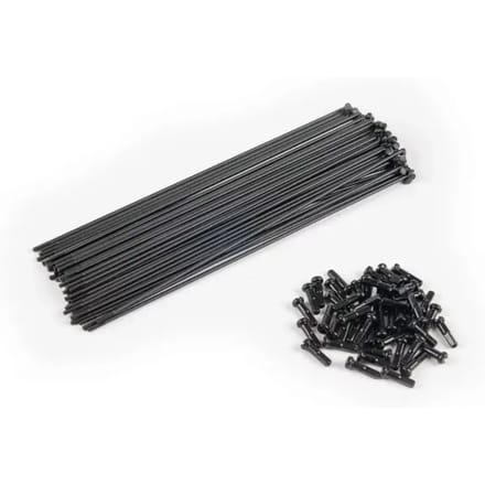 Rayon Eclat PG (x40)