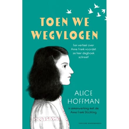 Toen We Wegvlogen - Alice Hoffman