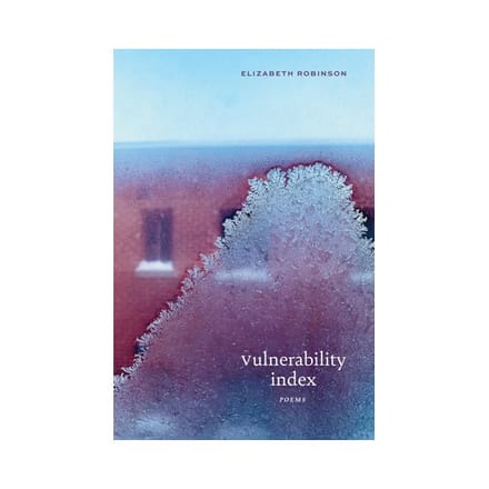 Vulnerability Index - Elizabeth Robinson