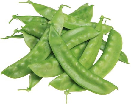 Groene Erwten Kunstvoeding Groenten 11,5cm 24 st, 24 Stück