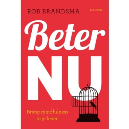 Beter Nu - Rob Brandsma