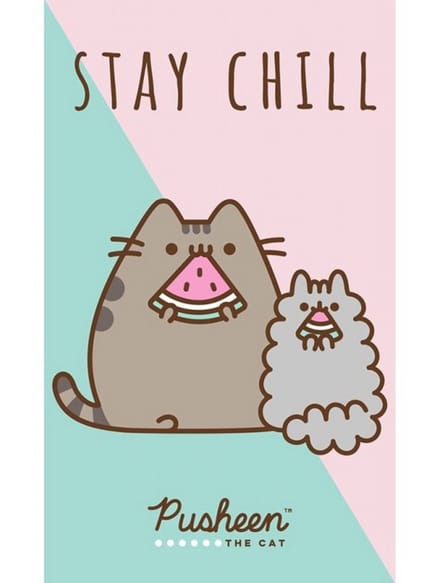 Pusheen Stay Chill handhanddoek, gezichtshanddoek, handdoek 30x50 cm
