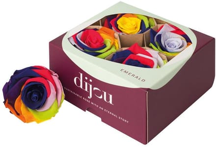 4x Rose preserved dc rainbow 9999c