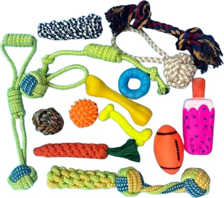 Nivard Honden Speelgoed - Hond - Speelgoed - Dog Toy - Pluche - 5st