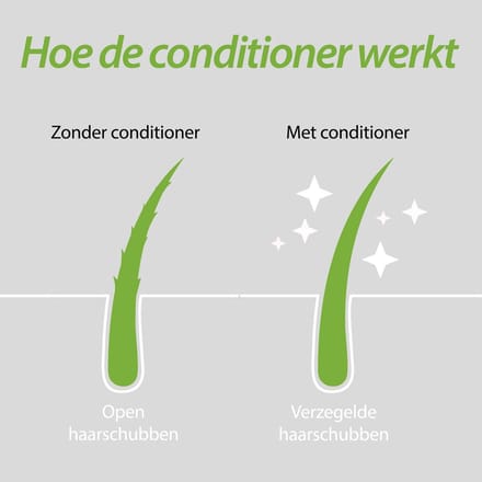 Plantur 39 - Haarkuur Gekleurd Haar - 150 ml