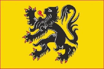 Vlaamse vlag 100x150cm | op = op | aanbieding