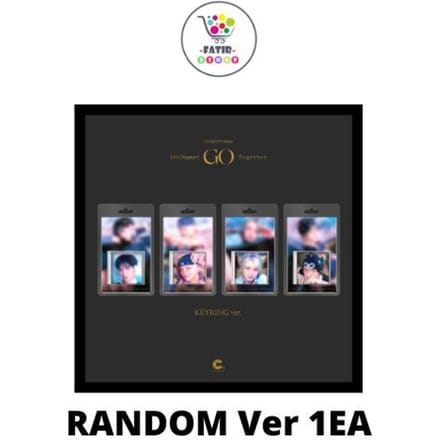 PORTE-CLÉS Ver CIX 8ème Mini Album GO Chapitre 1 GO Ensemble No POB Random gray
