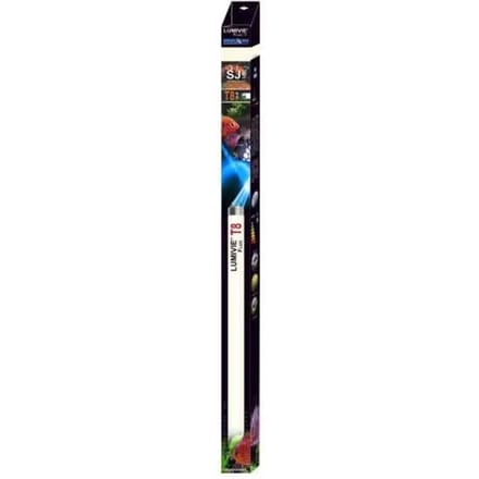 Buis Aquavie Lumivie SJ T8