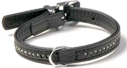 Karlie Plus Halsband Monte Carlo - 11 mm x 21 cm - Zwart