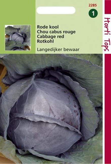 Hortitops zaden - Rodekool Langedijker Bewaar 2