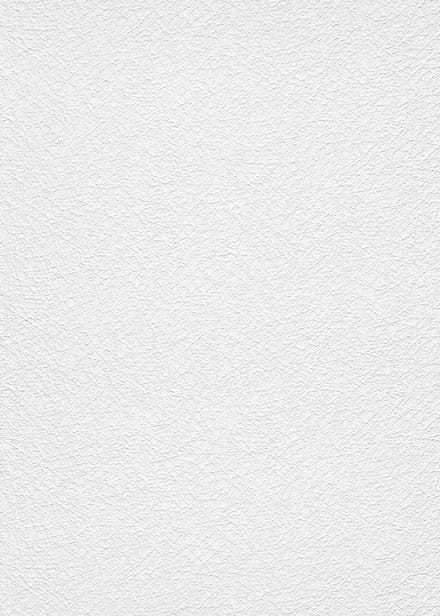 Erismann Vinylbehang 11039-01 - RollOver27 - Overschilderbaar Wit - 106cm x 25,00m