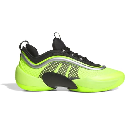 Basketbalschoenen adidas D.O.N. Issue 6
