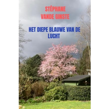 Het Diepe Blauwe Van De Lucht - Stéphane Vande Ginste