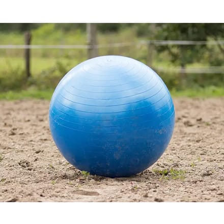 QHP Paardenvoetbal Blauw - One size