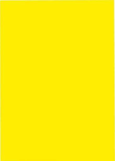 A4 Laserprinter etiketten - 210 x 297 mm rechthoek - geel radiant - 100 vel per doos