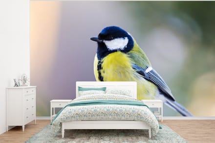 Behang - Fotobehang Koolmees - Vogel - Tak - Breedte 350 cm x hoogte 260 cm