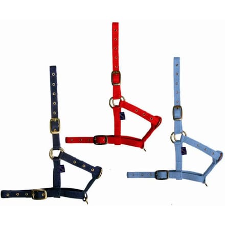 Nylon halster voor veulens Tattini