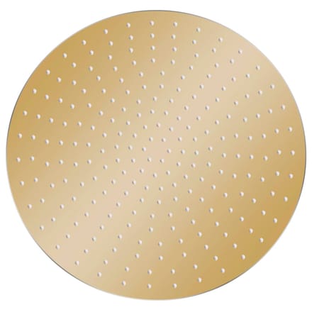 vidaXL - Regendouchekop - rond - 50 - cm - roestvrij - staal - goudkleurig