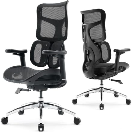 Chaise de bureau ergonomique SIHOO Doro S100 - Support lombaire dynamique double et dossier réglable 5 points noir