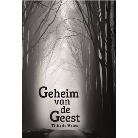 Geheim Van De Geest - Titia de Vries