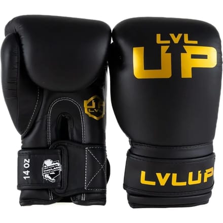 Bokshandschoenen Lvl Up UP BG 4