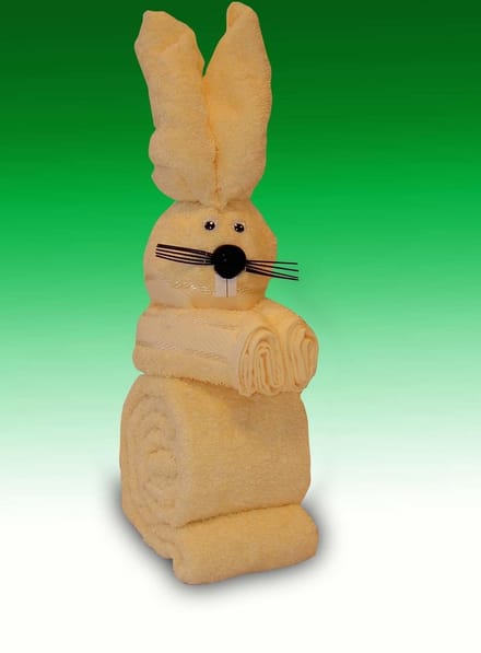 Handdoekgeschenk Pop Haas