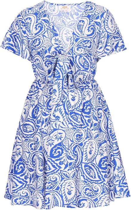 usha Dress