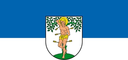 Vlag Blieskastel 100x150cm